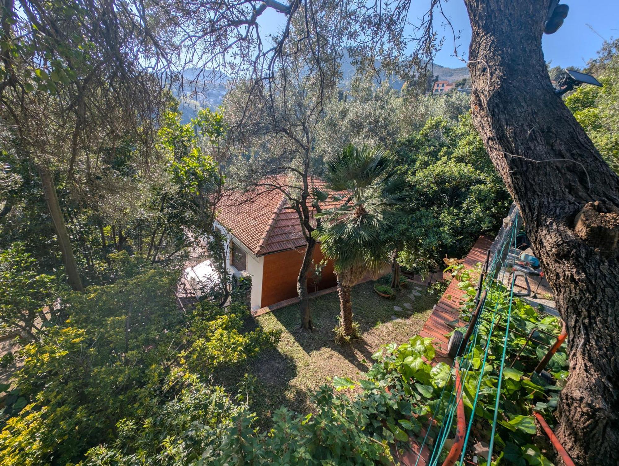 La Casa Di Nonna Lorenna Alassio Exteriör bild